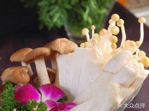 Dingxin Barbecue and Hot Pot (Green New City Store)