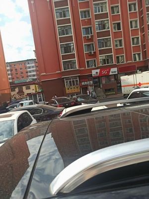 Yellow Braised Chicken Rice (Hongqi Community Store)