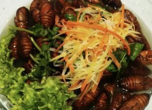Yi Pin Xiang Restaurant (West of Wanbao Health Center)