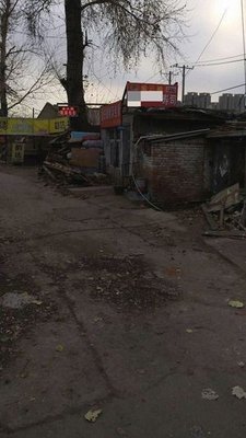 Kim Samsoon Seaweed Rolls