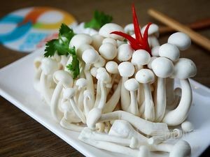 Mingyang Chain Spicy Hot Pot (Tonghe Store)