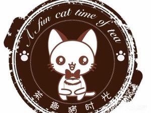 Tea Fun Cat Time
