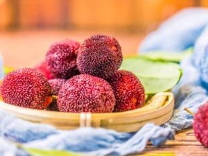 You Bifun Fresh Fruit Cuisine