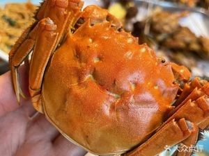 Yangchenghu Fresh Crab (Yatai Avenue, Yikuang Street)