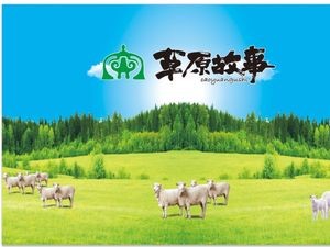 Grassland Story Fruitwood Charcoal Hot Pot Lamb (Changxin Street Branch)
