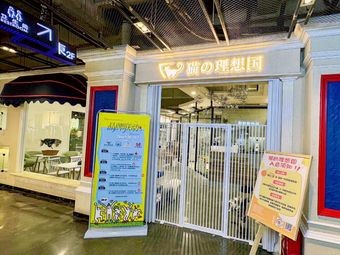 Cat's Ideal Country Café (Touch12 Street Store)