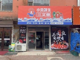 Xiaobei Fresh Salmon