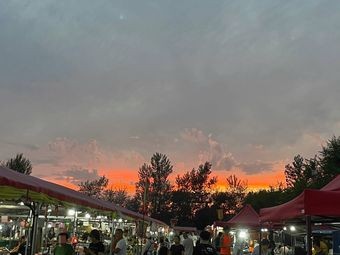 Sakura Night Market