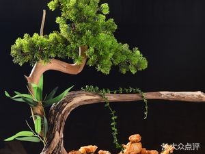 Taiji Zen · Yunjie Fu Yan