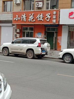 Xiao Qing Hua Dumpling (Pinghe Street)