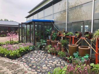 Rainy Day Wine Cellar