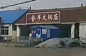 Juxian Yuan Whole Lamb Hot Pot Shop