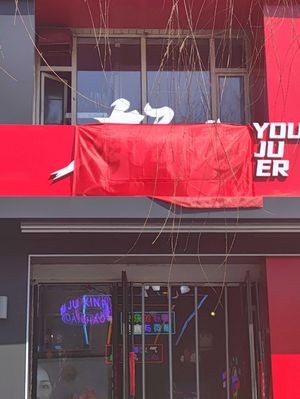 Youju New-Style BBQ (Zhongxin Street Branch)