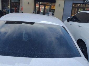 Yunnan Mushroom Hot Pot