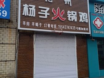 Yangzi Hot Pot Chicken (Gongpeng Branch)