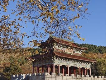 Xinghua Village Fish Restaurant