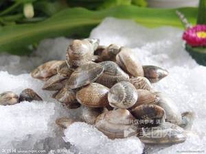 Happy Clam (Shoushan Branch)