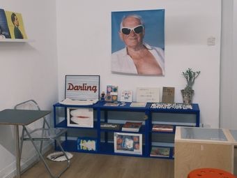 dDog Ideal in Paradise