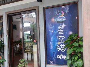 Star Cat Café (Huang's Branch)
