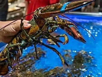 Dinghai Bay Fish Water Origin Seafood Restaurant Speedboat