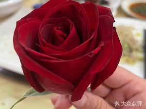 Hong Jin Jiang (Bi Shui Long Cheng Store)