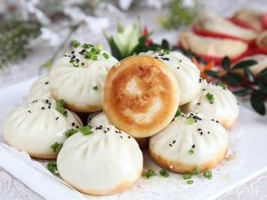 No.1 Pan-Fried Dumplings (Daru Shijia Branch)