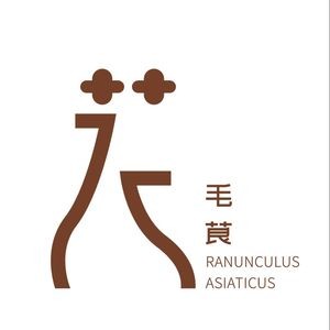 花毛茛·婚纱主题·咖啡馆(康桥里店)