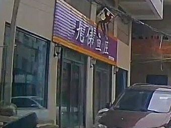 Jiudi Farmhouse Restaurant