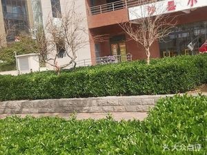 Sha County Snack (Zhitong Yaogu Store)