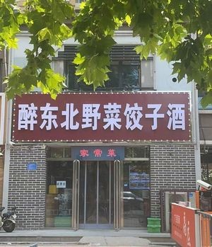 醉东北野菜饺子酒