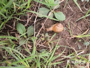 Xin He Yuan Restaurant