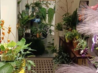 Fuyou Japanese Tea and Night Wine