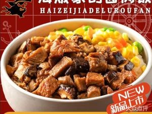 Gareki's Braised Pork Rice (Xinyuan Honeycomb Store)