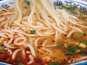 Halal Lanzhou Noodles & Big Plate Chicken (Ma Lao Er Branch)