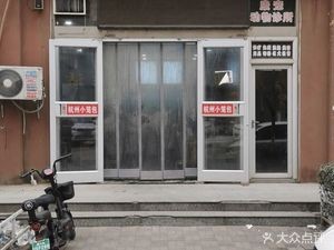 Hangzhou Steamed Dumplings (Northern Time Store)
