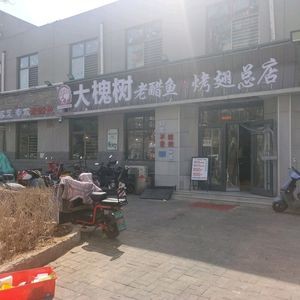 Da Huai Shu Laoyu Fish & Roasted Wings (Guanghua Road Headstore)
