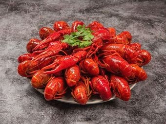 Fresh Seafood (Snack Street Branch)
