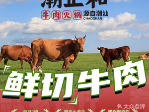 Chao Zhenghe · Chaoshan Beef Hot Pot (Zhonghua North Street Store)