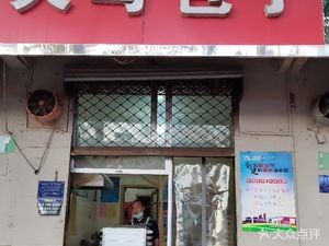 Tianma Baozi