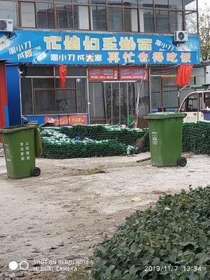 Qiaoxianzi Handmade Noodles