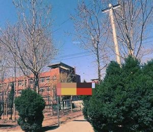 Authentic Chongqing Hot Pot Restaurant