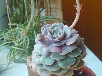 Yutaijia Ecological Space