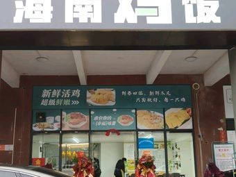 Jin Ji Hainan Chicken Rice (Lianfa Shangzhu Branch)