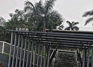 Ecological Station