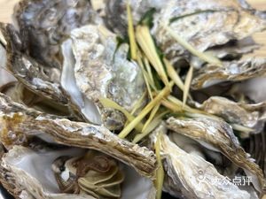 Hao Yi Fa High-Pressure Boiler Oyster (Jixiang·Fengjing Bay Phase II Store)