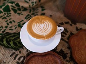 Bailing Coffee