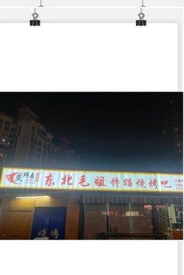 Tan Xian Sen · Northeast Auntie's Craving Cat Barbecue