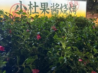 Xiao Du Jam Barbecue (Liusha Branch)