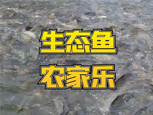 Nawu Zujiang Ecological Fish Farm