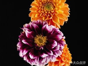 Liu Luo Xiang (Suyu Branch)